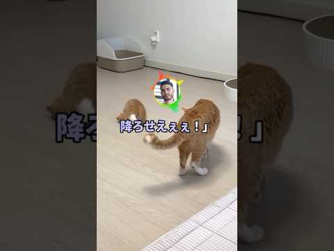 嫁「絶対にこの子を産む！」ワイ「黙れえ！」ボカッ！！嫁「うっ…！」【2ch】#shorts #2chおもしろスレ