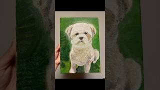 油絵で愛犬のシーズー描いたよ。