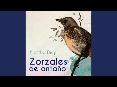 Con Casa Y Sin Mujer