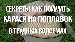 Секреты ловля карася на поплавочную удочку