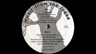 Music From The Trees - Summer In The City (Nou Lion Mix)
