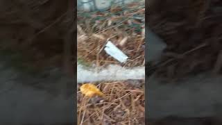 siringhe-davanti-scuola-la-denuncia