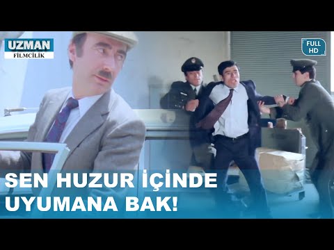 Sayende Doğru Yolu Buldum! - Dolap Beygiri