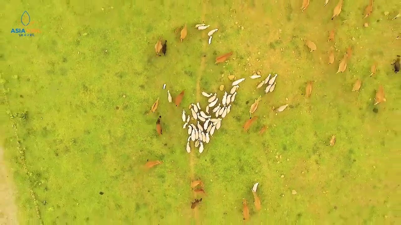 La Vuong Plateau Binh Dinh – Vietnam’s Hidden Mountain Escape