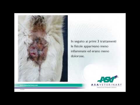 Trattamento farmacologico efficace di prostatite Fase di cancro alla prostata 3 disabilità