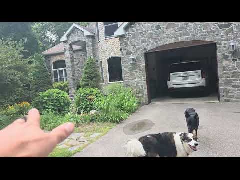 Video Thumbnail Video Thumbnail