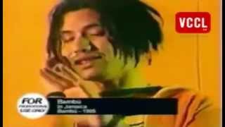 BAMBU - In Jamaica