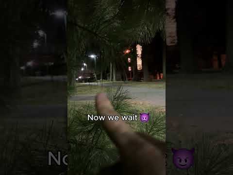 Death Whistle PRANK...