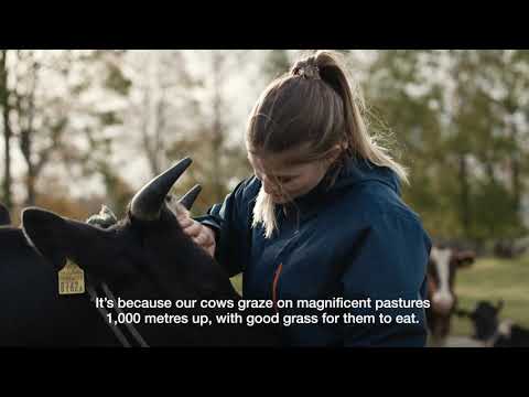 Tête de Moine AOP. The famous cheese from the Jura/Bernese Jura. | Switzerland Tourism