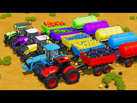 LAMBORGHINI vs JOHN DERRE vs FENDT vs CLAAS vs JCB TRACTORS BATTLE WITH FRUITS & WATER TANKS - Farmi