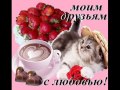 Для моих любимых друзей 