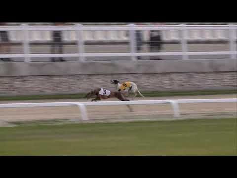 2020.06.26. 01. futam - Nyári Nagydíj Sprint S2