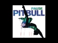 Pitbull Mix- Pause, We Run The Night, Stripper Pole, Krazy, The Anthem