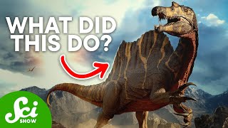 5 Unsolved Mysteries About Dinosaurs