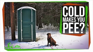 Why Does the Cold Make You Pee?