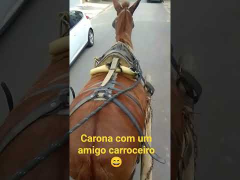 tamos em Mendes Pimentel MG Brasil # vem pro nosso canal!