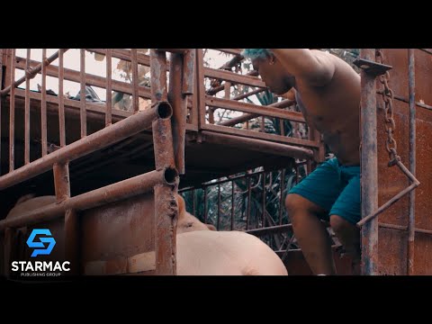 Se Retiraron  - El Cherry Scom  (Video Oficial)