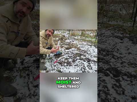 Urgent: Unbox Cuttings ASAP! Don't Delay!