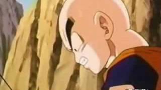 DBZ-Telegraph ave kiss