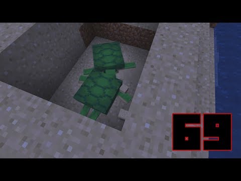 La riproduzione delle tartarughe [Minecraft ep 69]