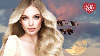 ЗОЛОТКО ♥ КРАСИВЫЕ ПЕСНИ ДЛЯ ДУШИ WLV ♥ ПЕСНИ СПЕТЫЕ СЕРДЦЕМ ♥ RUSSIIAN MUSIC HIT WLV