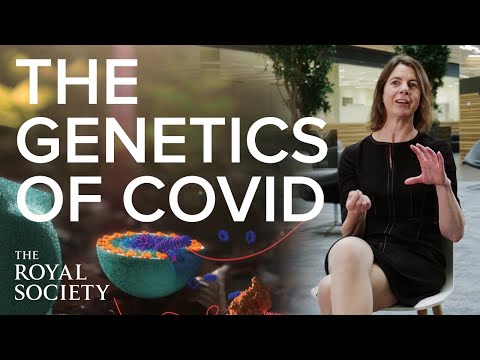 The genetics of COVID-19: mutations, variants and how to spot them