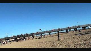 Alexander Herzog / "Hitchhiker's Guide"/ Seal Beach / 2011