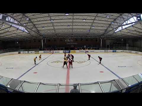 Letci Letňany 2008 - HC Sršni Kutná Hora (2. třetina)