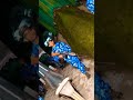 West Bengal Police Whatsapp Status Video Police Boy Attitude Status ‍ ️ Police Defense