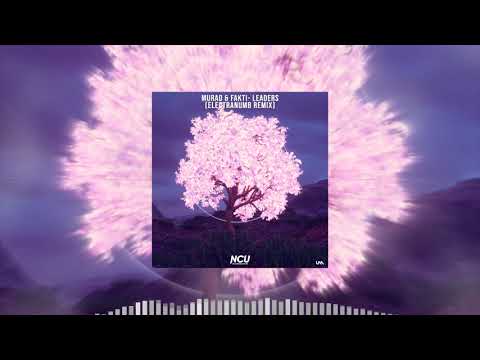 MuraD & Fakti - Leaders (Electranumb Remix) (NCU Release)