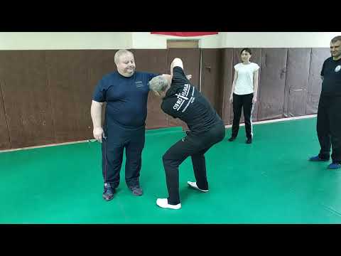 2019-06-01 Systema Ryabko seminar. Part 3. Mastery