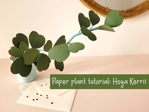 Paper plant tutorial: come realizzare l'Hoya kerrii di carta