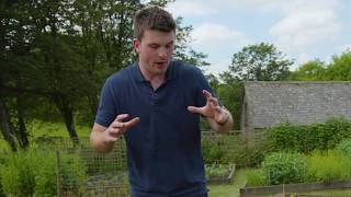 How To: Grow your own window box herbs with Huw Richards