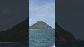 #cruise #summer #newcastle #nsw #youtubeshorts #ytshorts #love #travel #yt #youtube