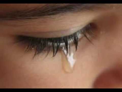 Cỏ lá xanh xao - Julie