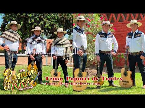 Conj. Sasawis Del Ande/Popurri de Toriles/Grau Apurimac