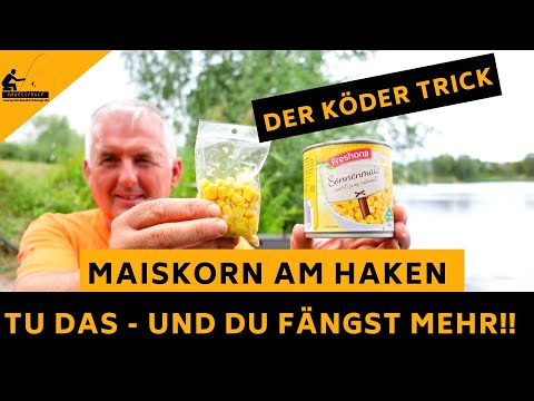 DO THIS - With this trick you'll catch MORE with the corn kernel!