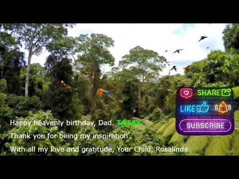 Let the Music of Nature Quiet Your Mind. o Dad, TATAY KIRAT! #Nature#Mindfulness#Outdoors#Stillness