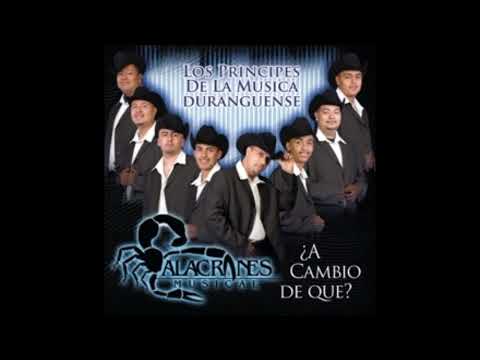 Solo Los Tontos - Alacranes Musical