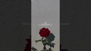 Download lagu kutipan status islami #kutipanislami #ayatquran #sabar #kutipanislami #kutipan #kutipanarab #suka mp3