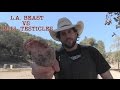 L.A. BEAST Eats Bull Testicles (Then Gets Ass Kick...