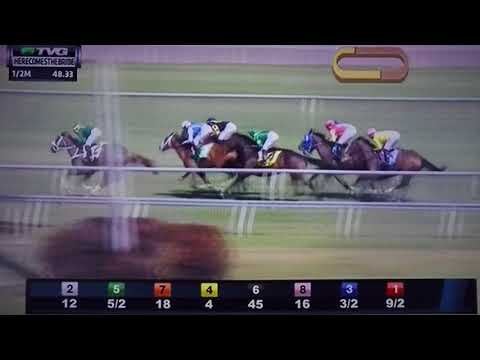 HERECOMESTHEBRIDE (G 3) STAKES 3/3/18 THEWAYIAM !!!
