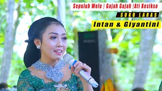 Download lagu Giyantini | Sepuluh Wolu Tretek - Gajah Gajah - Ati Kesikso | Tayub Suko Laras Terbaru | Live Guci mp3 Download lagu Giyantini | Sepuluh Wolu Tretek - Gajah Gajah - Ati Kesikso | Tayub Suko Laras Terbaru | Live Guci mp3