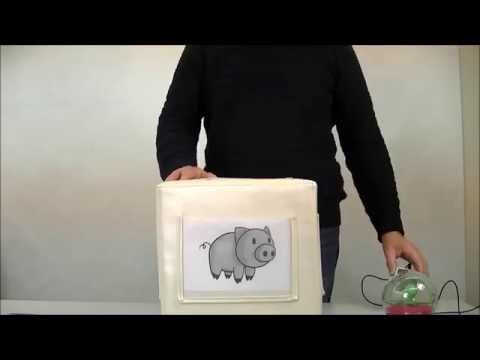 Pretorian Kinetic - Find-Me-Sequence Activity with Toys