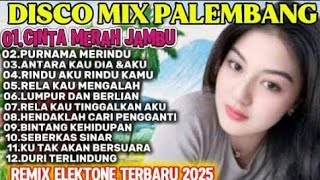 Download lagu CINTA MERAH JAMBU DISCO MIX 📍 PALEMBANG  VIRAL 2025 mp3