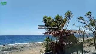 Download lagu Story WA Pance F Pondaag-Yang Pertama Kali (cover Vanny Vabiola) mp3