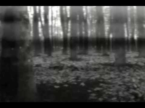 Third Eye Foundation - I've Seen The Light And It's Dark