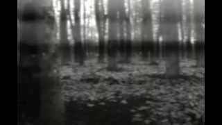 Third Eye Foundation - I've Seen The Light And It's Dark