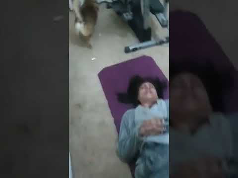 Corgi steals my money #corgi #funnydog #moneythief #zackthefamouscorgi @vlogaftercollege #shorts