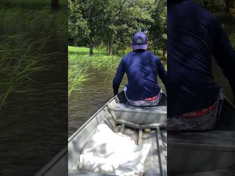 pescando no interior no Amazonas no município de Autazes